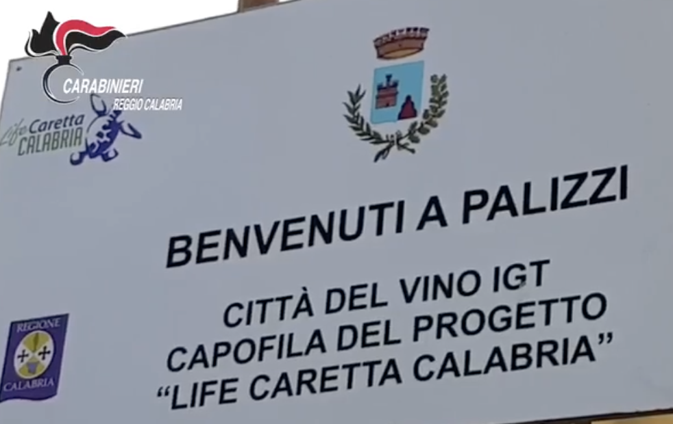 Ferrara (M5S): "Commissione conferma revoca progetto di tutela delle Caretta-caretta"