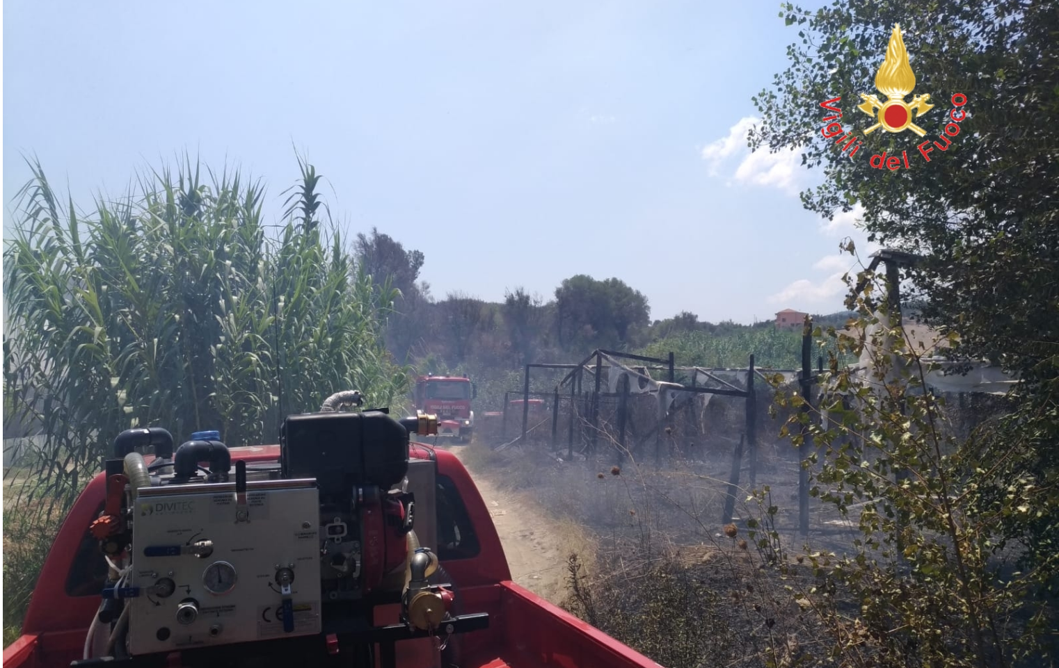 Vasto incendio a Davoli marina, rogo distrugge serre per coltivazione ortaggi