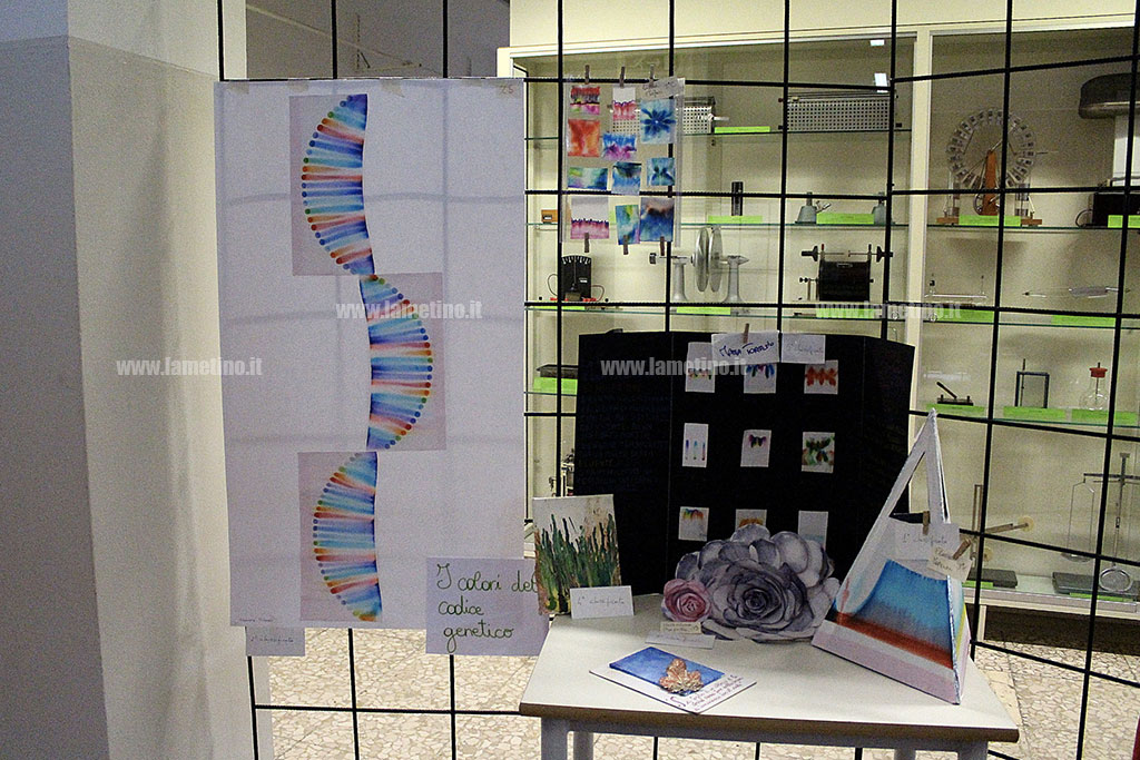 Scientifico-festival_2.jpg