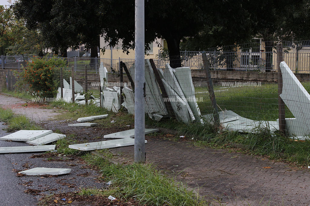 Scuola-media-gatti_maltempo4.jpg