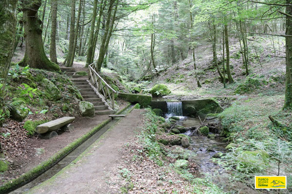 Sentiero-Archifoto-parco-ok.jpg