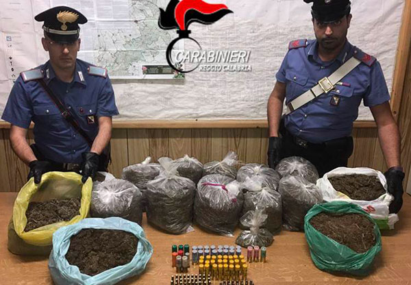 Munizioni e marijuana nascoste in un capanno nel reggino, sequestrate