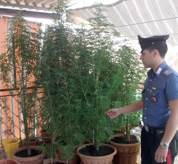 Calabria, droga: coltivavano marijuana in casa, arrestati 2 fratelli