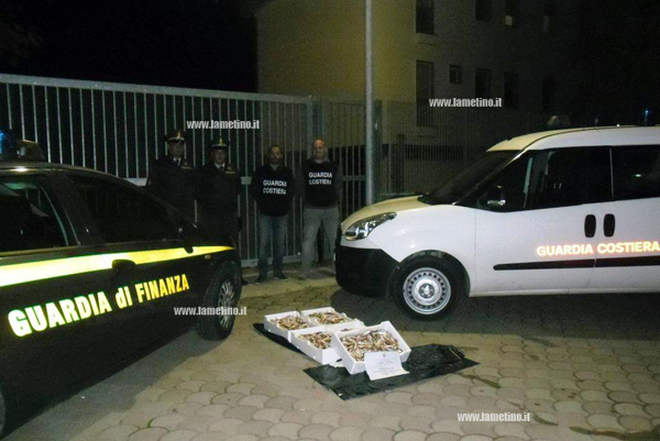 Calabria: Sequestrati 30 kg di novellame triglia nel porto di Corigliano