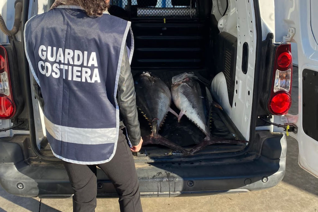 Pesca illegale, Guardia costiera sequestra esemplari di tonno rosso a Vibo Valentia Marina