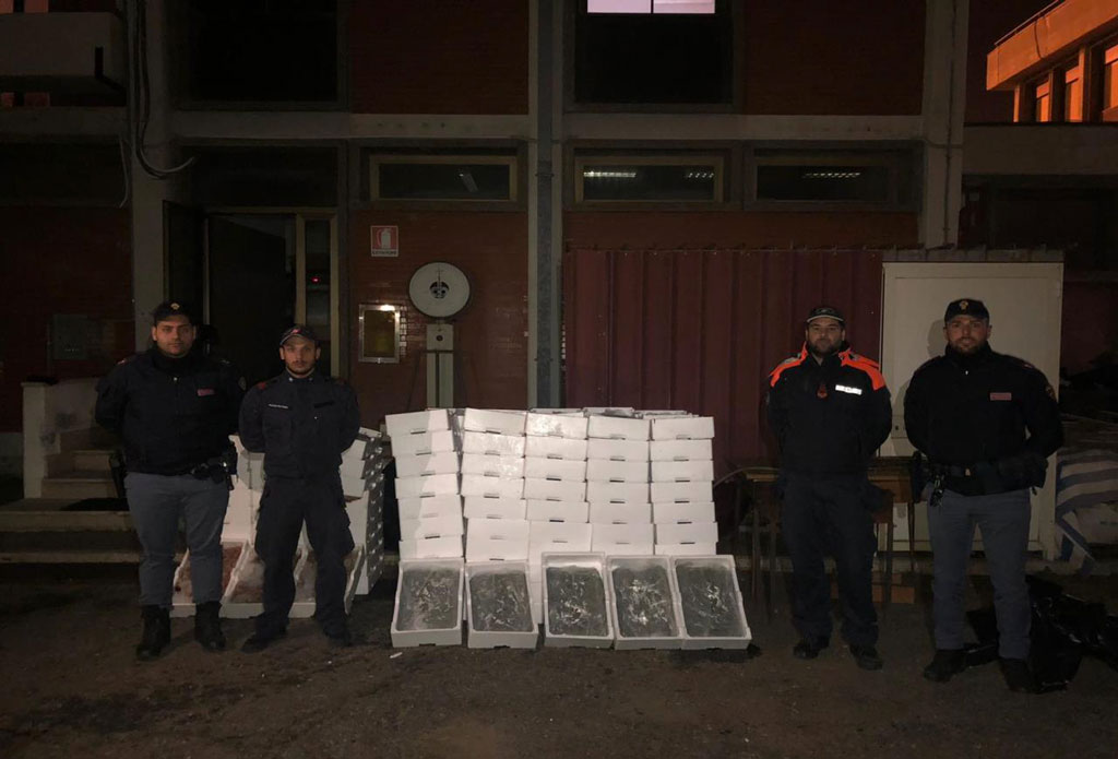 Sequestrati oltre 600 kg di gamberi e novellame di sarda a Gioia Tauro
