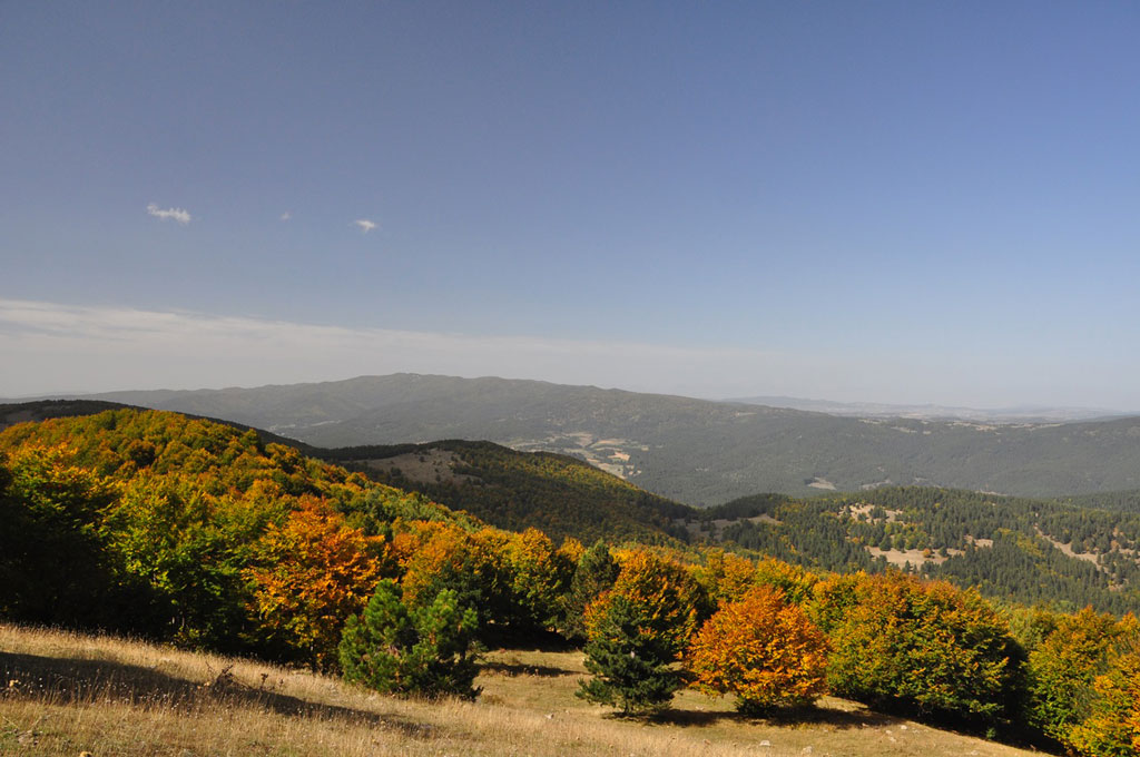 Sila-Grande-Montenero-Ph-F.-Bevilacqua_ef6d5.jpg
