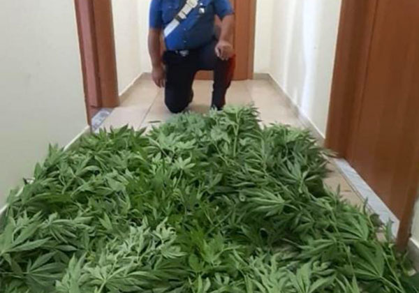 Controlli antidroga a Vallefiorita, un arresto