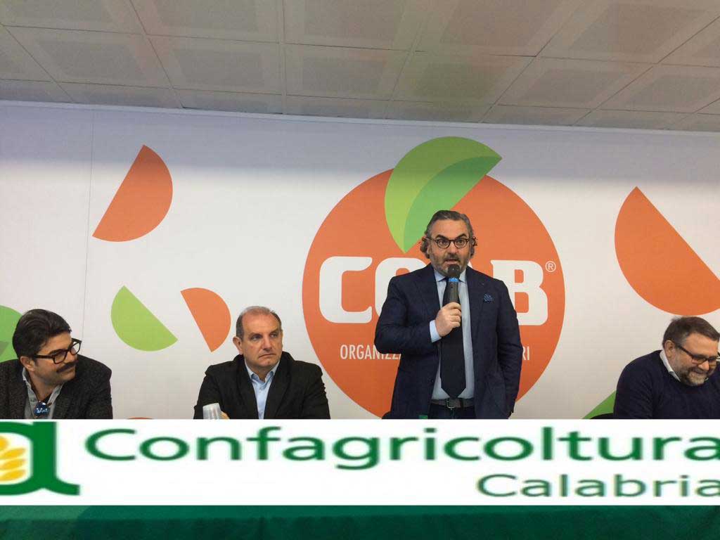 Statti (Confagricoltura Calabria): "Il futuro dell'agricoltura passa dall’innovazione" 