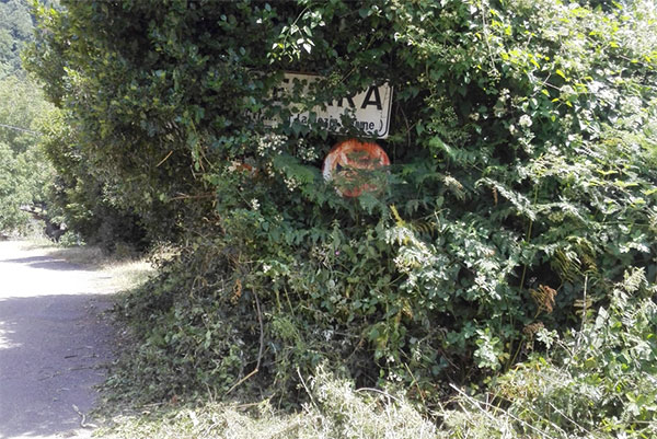 Cittadini puliscono strade montane del lametino invase da vegetazione