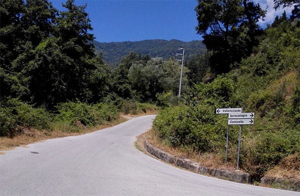 Strade-erbacce-contrade_2.jpg