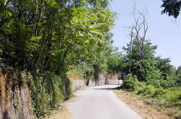 Strade-erbacce-contrade_4.jpg