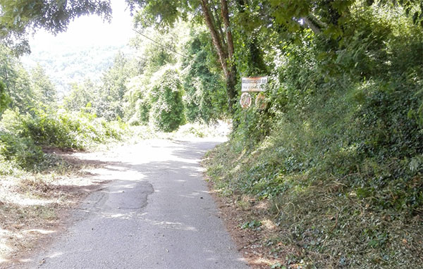 Strade-erbacce-contrade_5.jpg