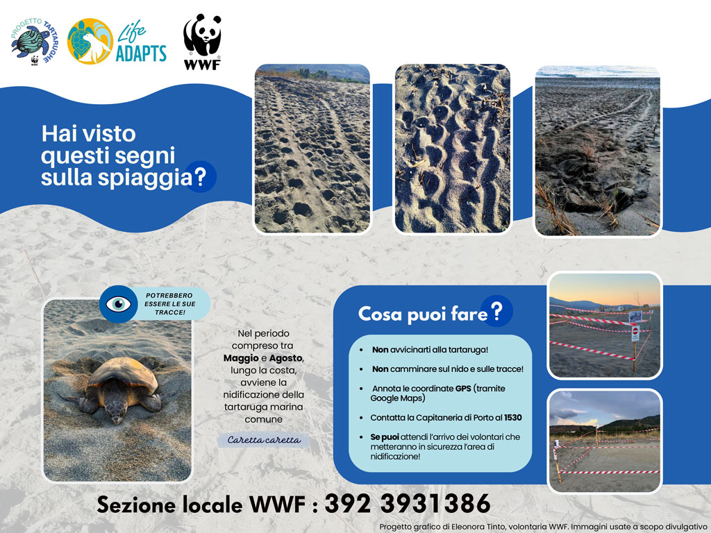 TARTAMAR-lifewwf-A3_d2304.jpg