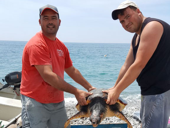 Pescatori di Bova Marina salvano tartaruga caretta caretta