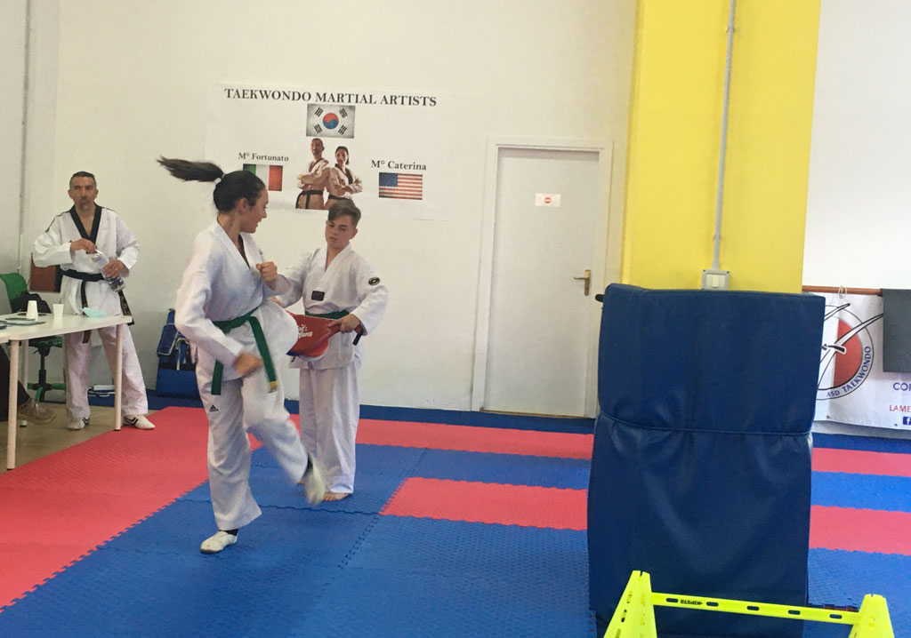 Taekwondo-6_7f7aa.jpg