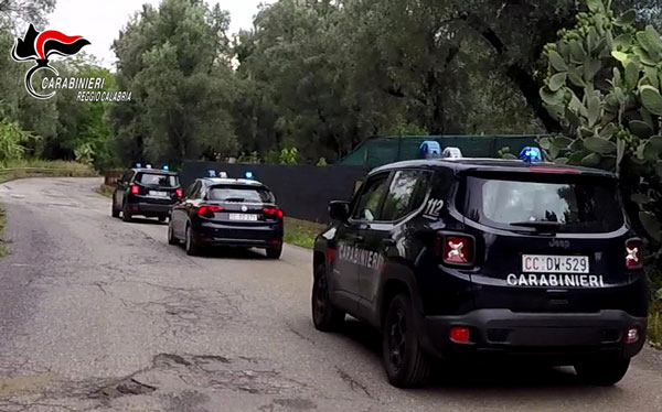 Gestivano piantagione di cannabis, 3 arresti nel Reggino