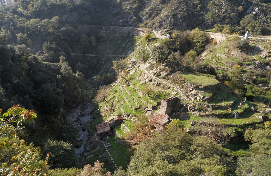 Taverna-Percorso-naturalistico-Valle-dei-Mulini-ph.-Autori-vari-Comune-di-Taverna_6d66d.jpg
