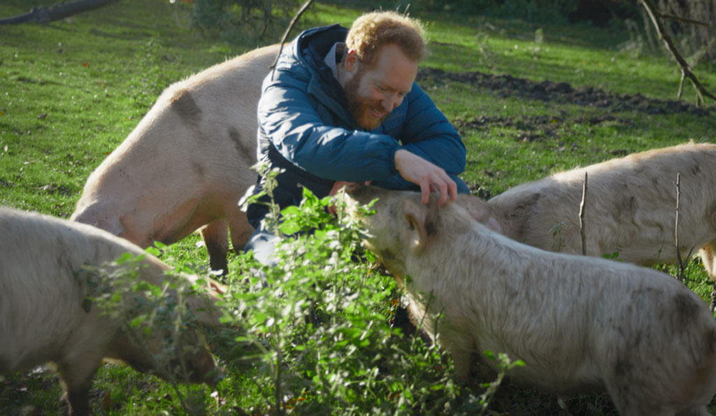 Tom-and-Happy-Pigs_2fbe2.jpg