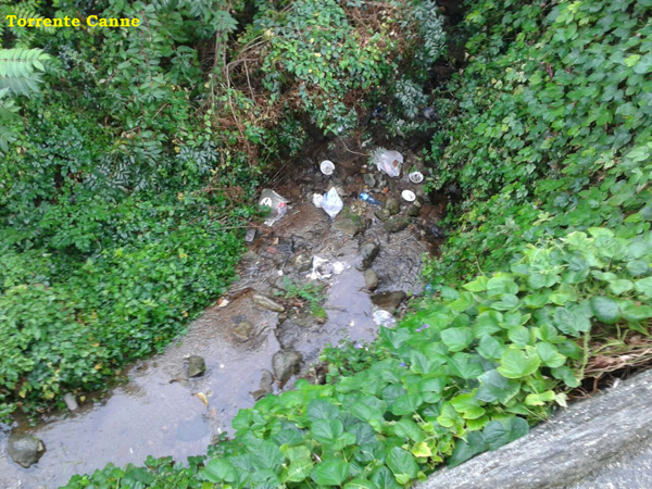 Torrente-Canne--mtl.jpg