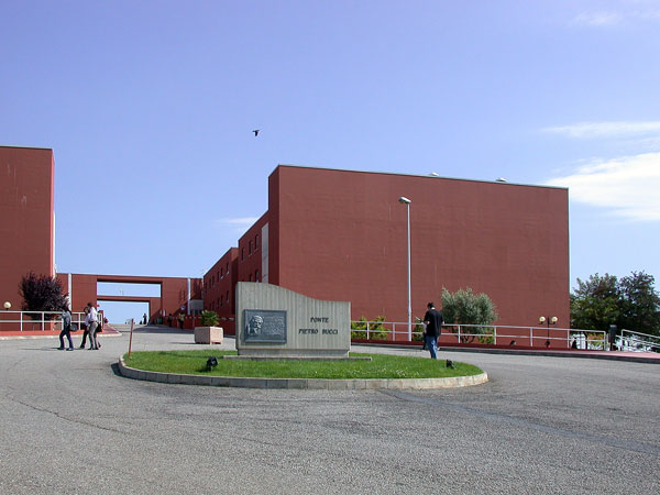 Unical, avviati corsi di lingua Araba e Cinese Mandarino