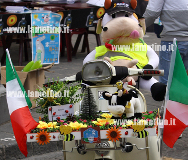 Vespa-Tour-2013-6.jpg