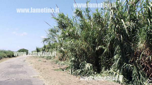 Via-Biagi-ripulita3.jpg