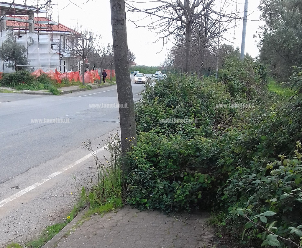 Lamezia, incuria su marciapiedi in via Martiri di Nassiriya