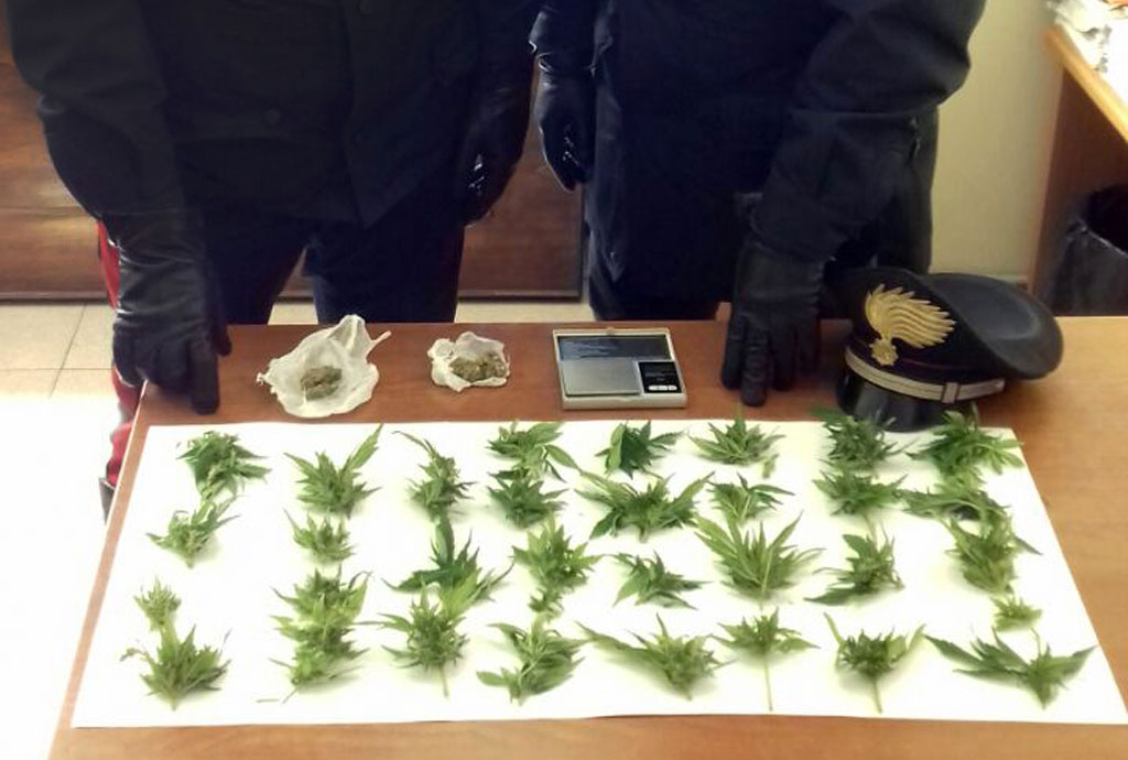 Coltivava marijuana in casa, arrestato 27enne reggino
