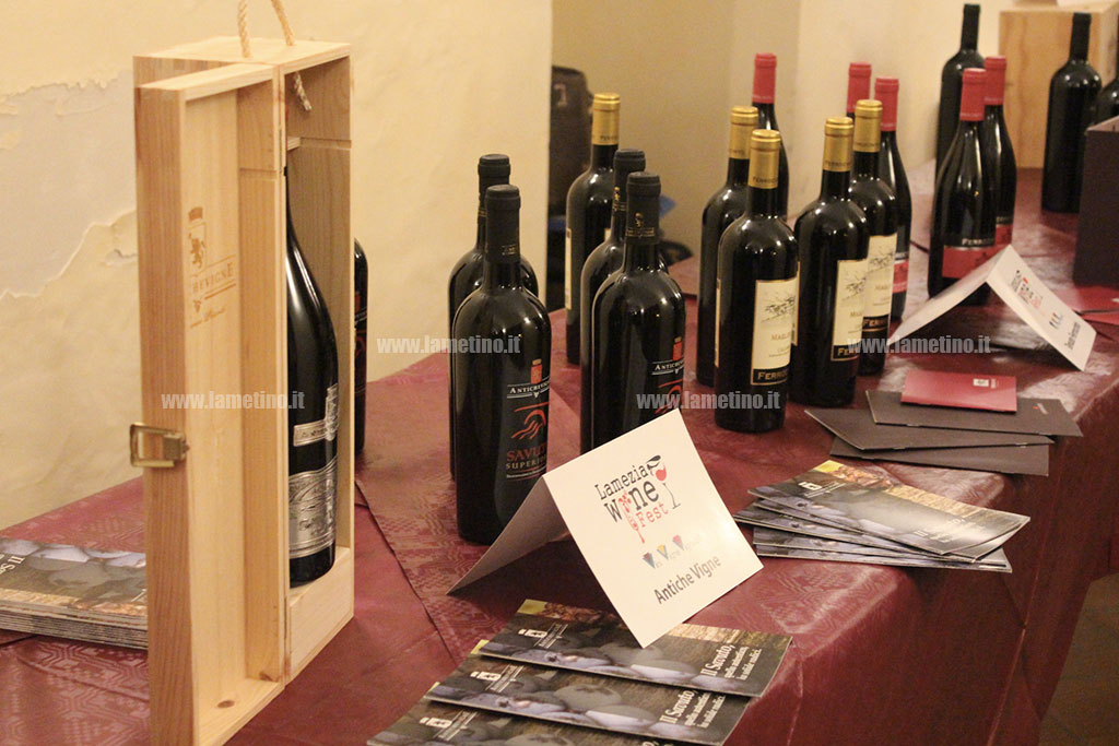Wine-fest_2016_2.jpg
