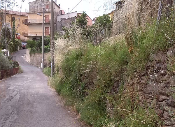 Lamezia, Popello (Identità Nazionale - FdI): "Degrado a Zangarona, il Comune intervenga"