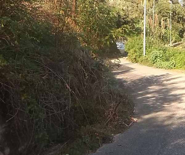 Lamezia, Popello (Sovranità): “scarsa manutenzione stradale nelle zone montane” 