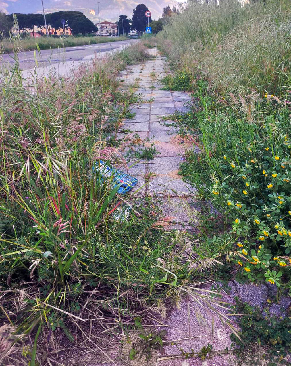 Zona-marinella-lamezia-23_cc94b.jpg