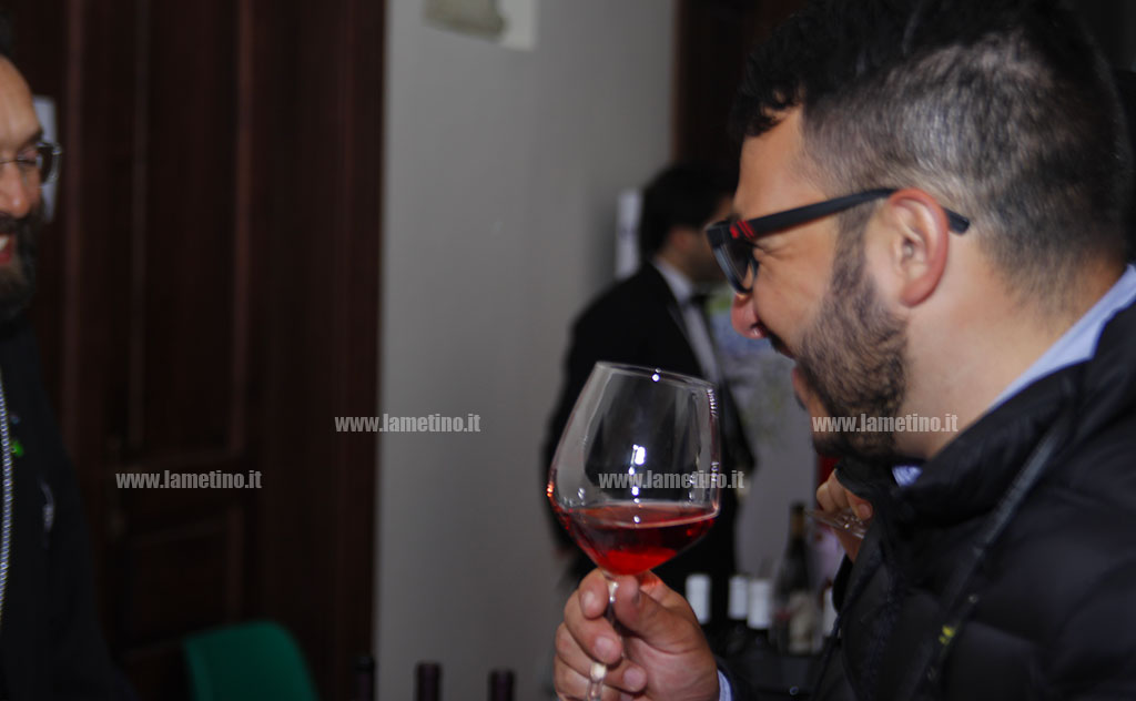 _MG_0003-wine-fest.jpg