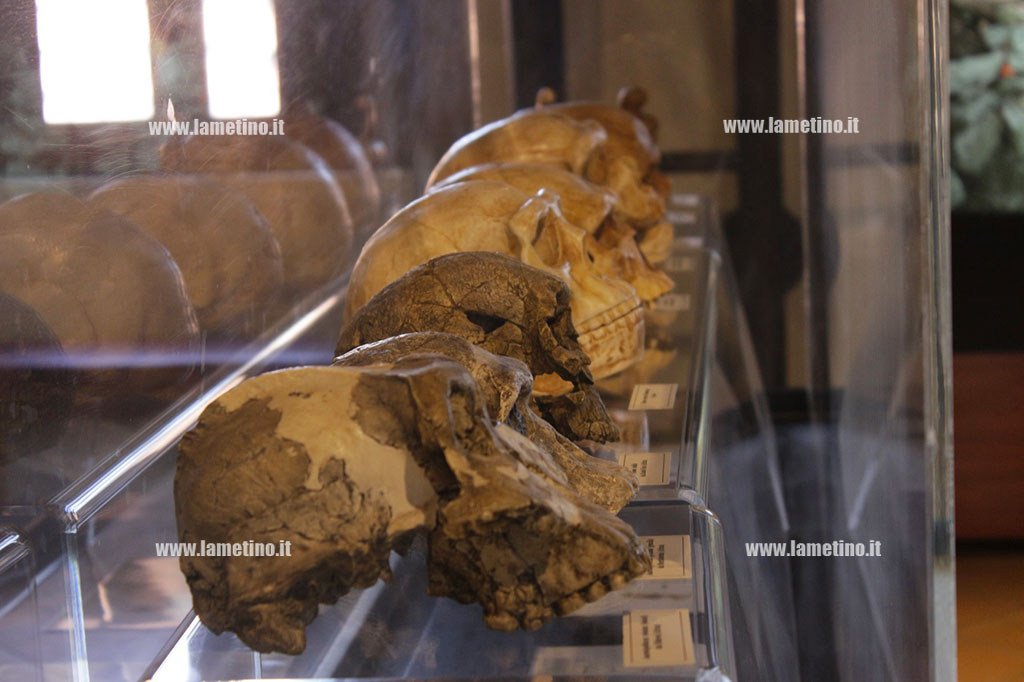 Anche a Lamezia la Prima Giornata regionale dei Musei di Calabria