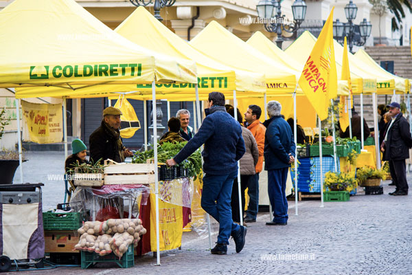   Coldiretti: consiglio regionale dice no ad accordo UE Canada Ceta, buon segnale per Made in Calabria