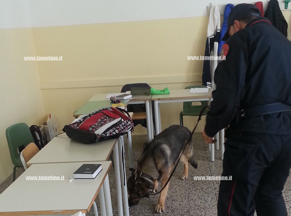 Calabria: Controlli antidroga in scuole e stazioni nell’area del Reventino
