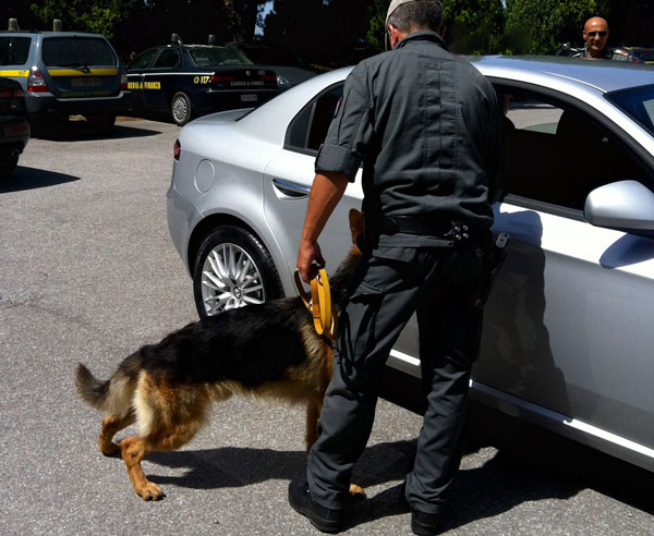 GdF Cosenza: da gennaio ad oggi sequestrati 29 chili di droga