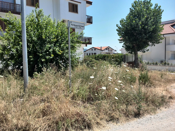 Lamezia: Lettera di un cittadino su stato d’abbandono in via De Filippis