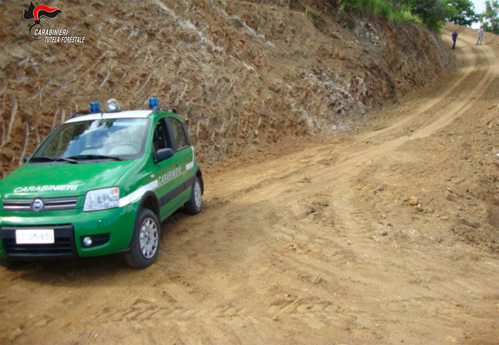 Abusivismo, controlli nel vibonese: denunce e sequestri