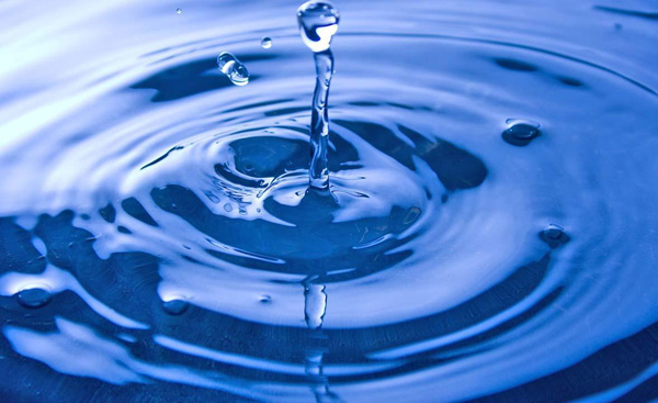 Celebrata giornata mondiale dell'acqua all'istituto Maraziti di Marcellinara 