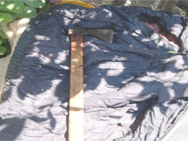 Calabria: Ferisce a colpi d'ascia la badante, arrestato ottantasettenne 