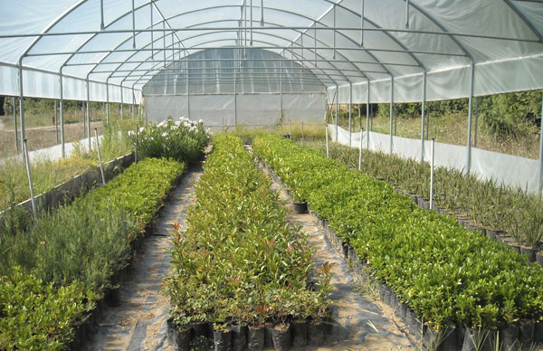 Calabria: La vicenda dei lavoratori Acqua del Signore