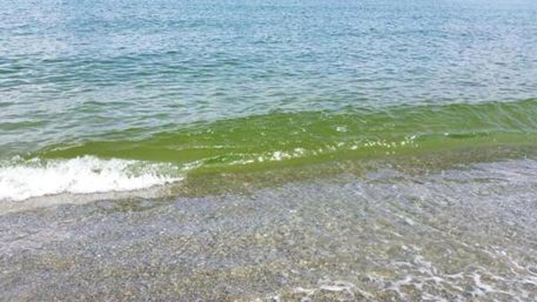 acqua-pgenerico.jpg