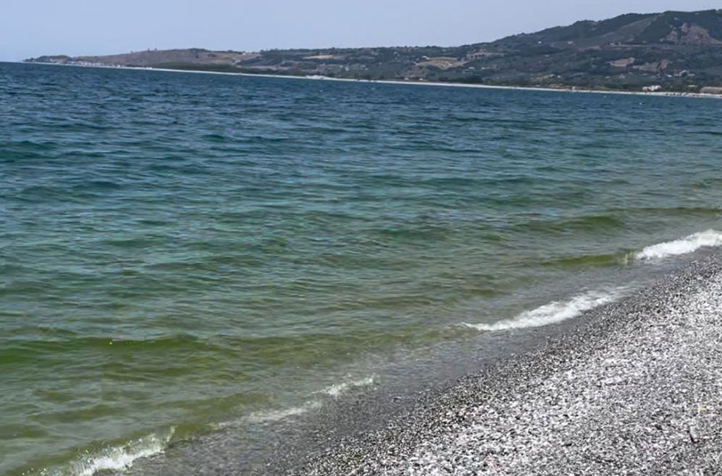 Mare verde, Di Matteo (Exit): "Imbarazzante silenzio di amministratori locali"