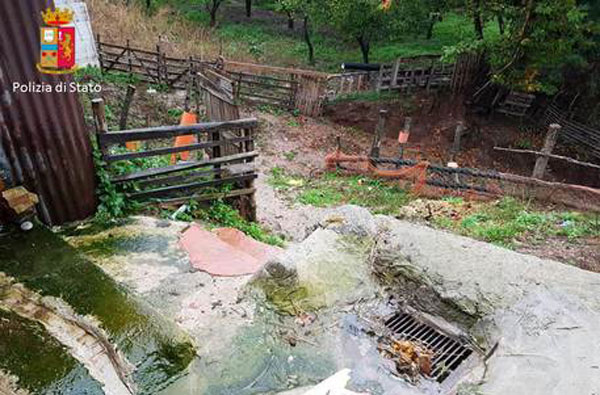 Acque reflue nel fiume, sequestrato allevamento a Polistena