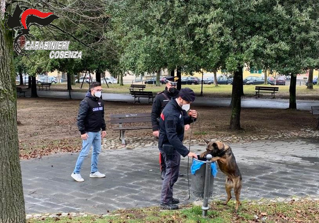 acri-cc-cani-scuole-droga_c7d03.jpg