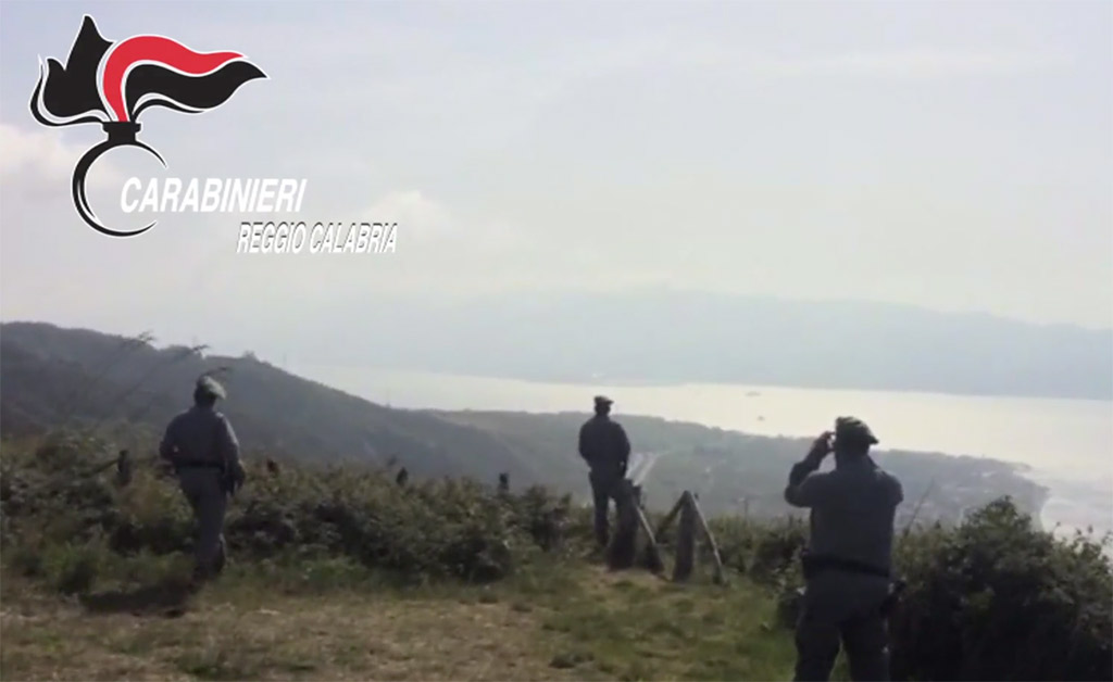 Operazione Adorno, prevenzione e repressione bracconaggio in Calabria