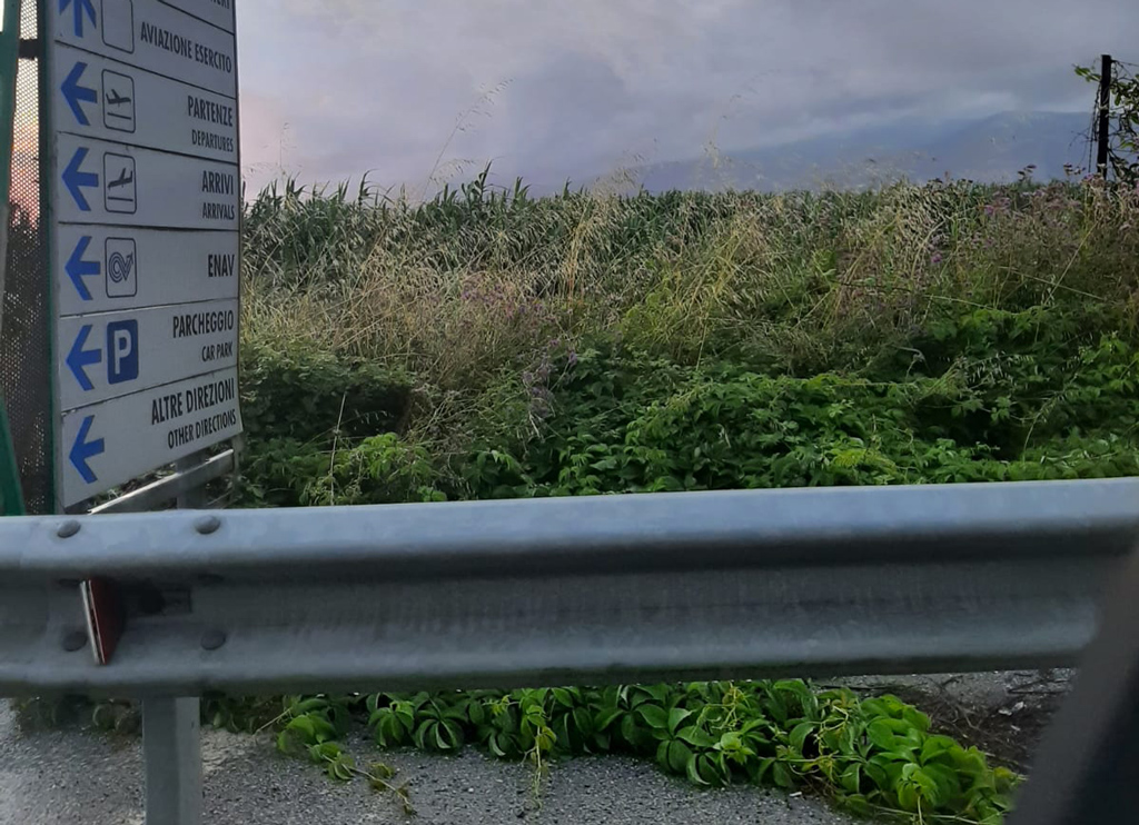 Lamezia, Cittadino: "Erbacce e degrado nella strada d'accesso all'aeroporto"