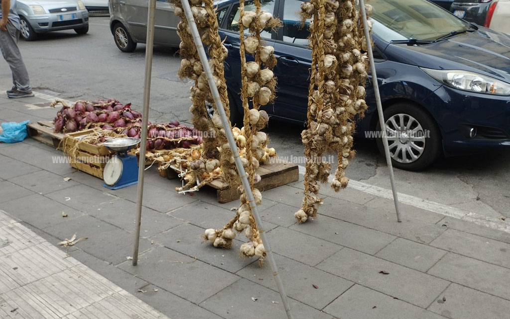 aglio-cipolla-2025-06-27-alle-10.36.55_b8521.jpg